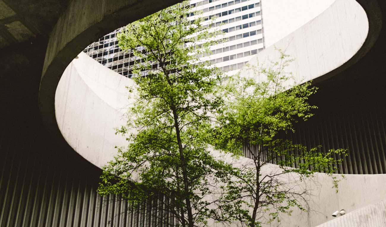 Who Really Knows Renewable Energy?