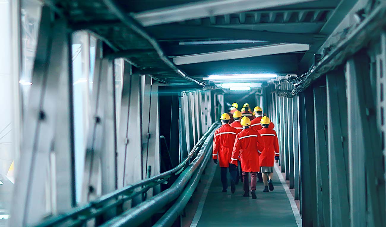 Mayra Collins – Quote